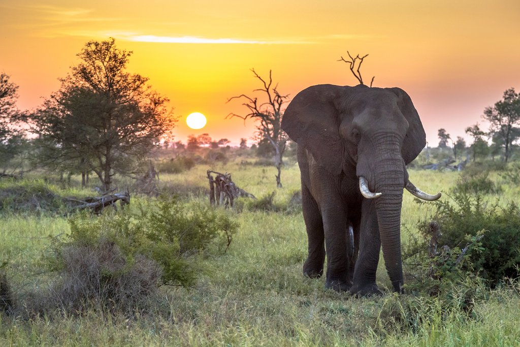 Top 6 Best Private Game Reserves Bordering Kruger National Park
