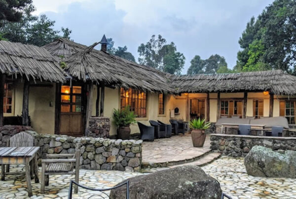 Uganda Safari Lodges and Camps Based on Destinations.