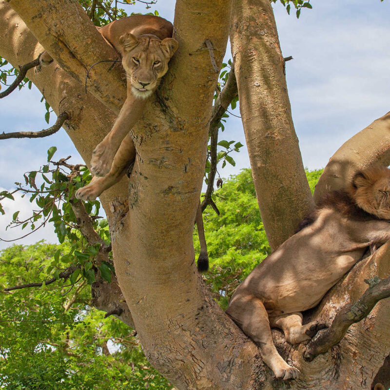 Uganda holiday types