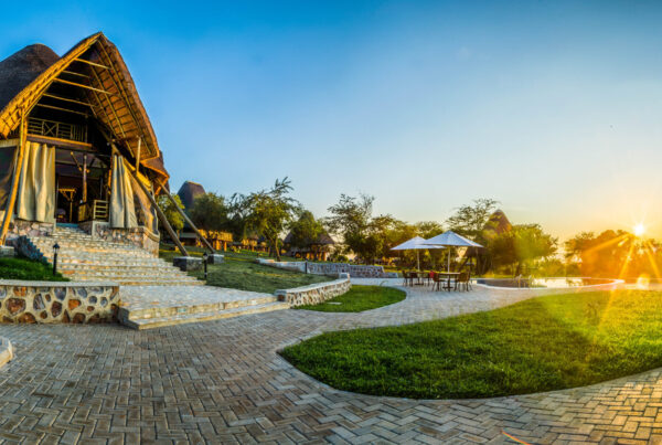 Where to stay in Uganda, Safari lodges and camps