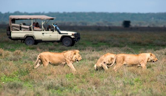 5-Day Itinerary for game drive in Arua with limited time