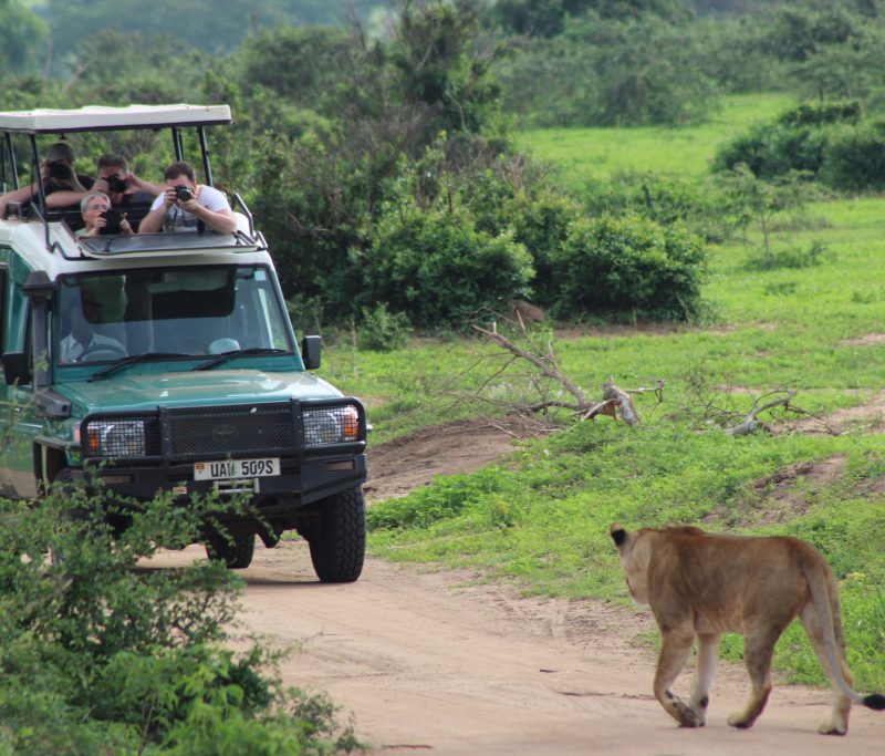 5-Day Murchison Falls & Kibale Chimpanzee Safari