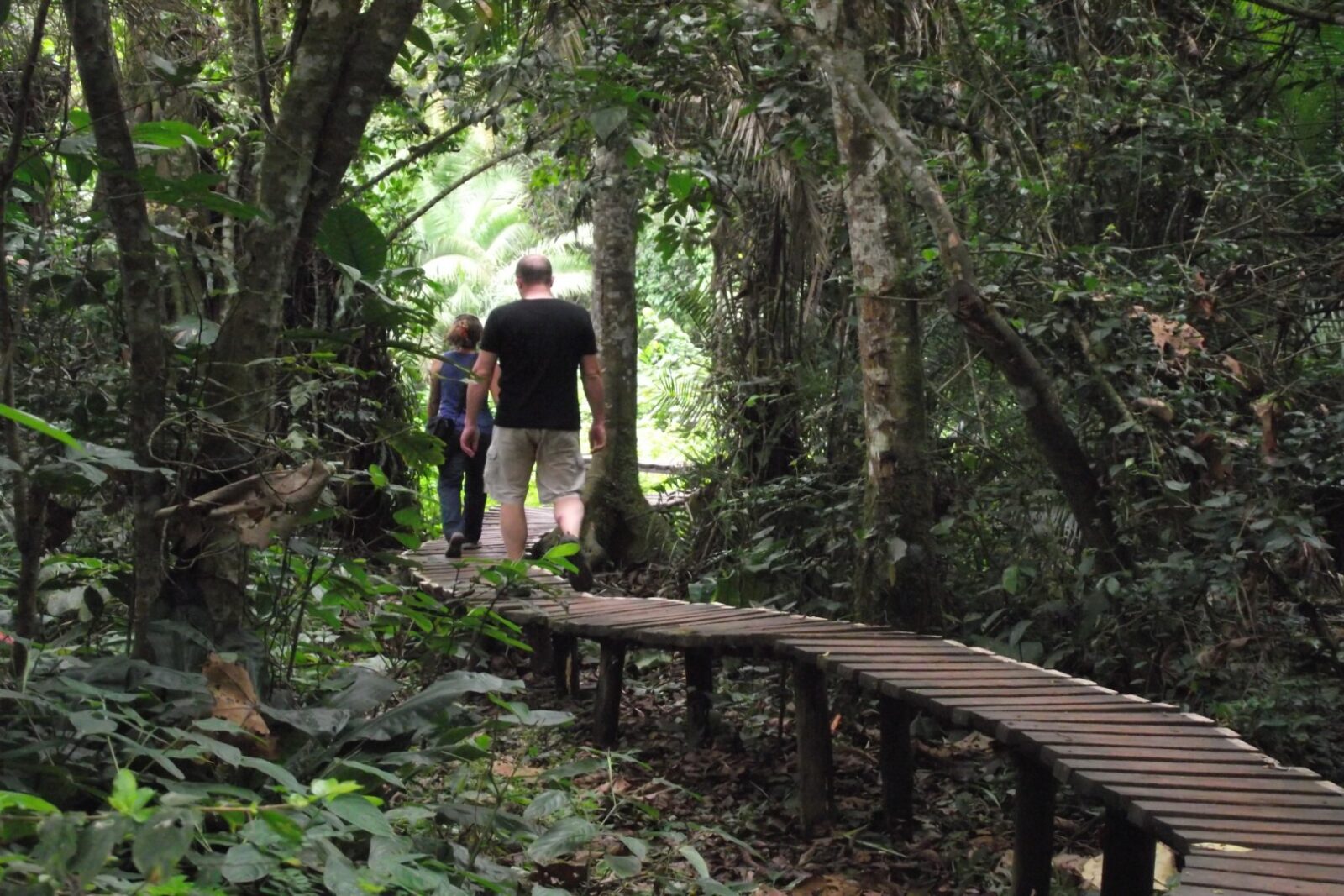 Best Time to Visit for game drive in Kibale National Park for avid hikers