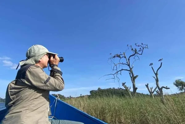 Best time to go Bird Watching in Uganda?
