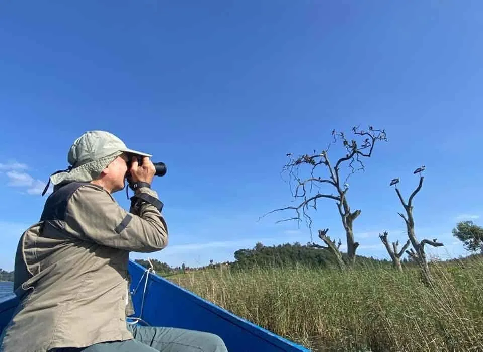 Best time to go Bird Watching in Uganda?