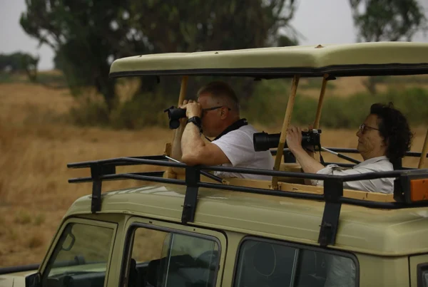 Best time to go Game Drives & Big Five in Uganda?