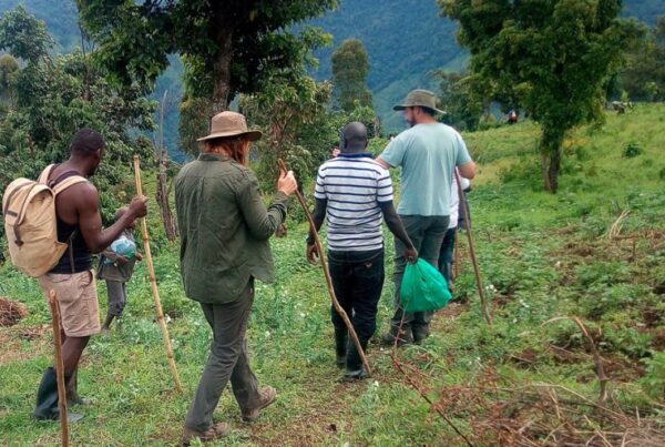 Best time to go Nature Walks & Hiking in Uganda?