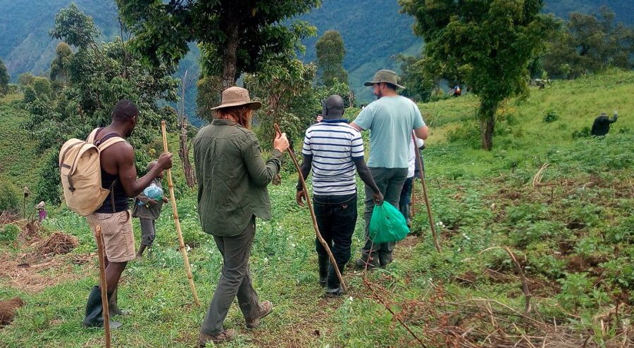 Best time to go Nature Walks & Hiking in Uganda?