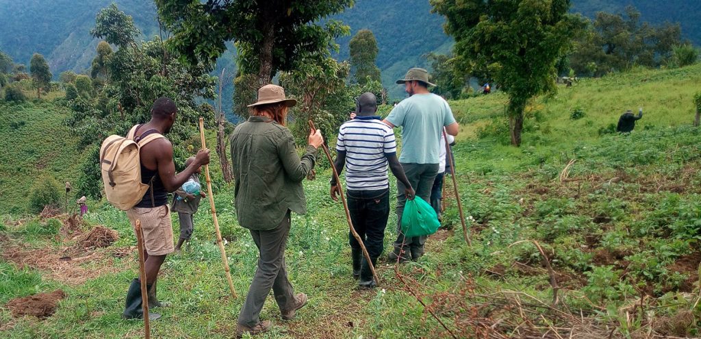 Best time to go Nature Walks & Hiking in Uganda?