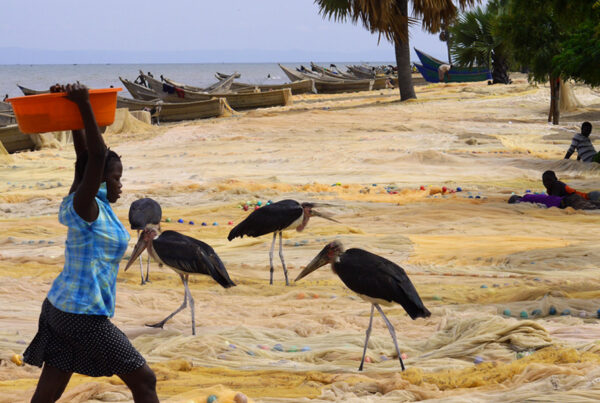 Birding Safari at Butiaba: Weekend Itinerary for birders