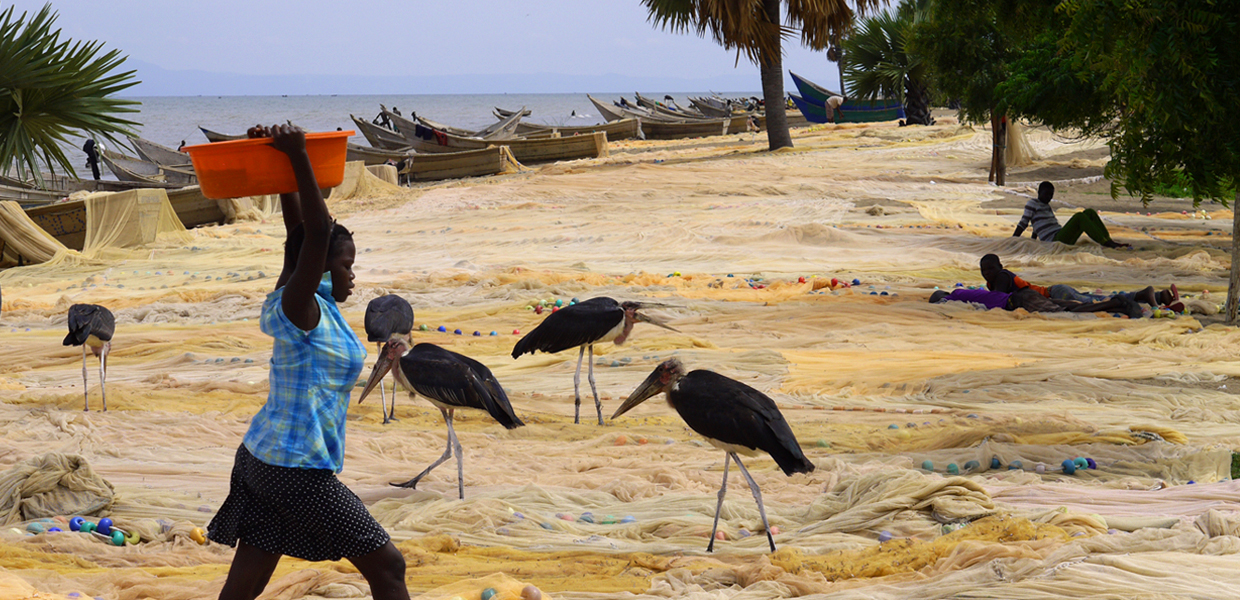 Birding Safari at Butiaba: Weekend Itinerary for birders