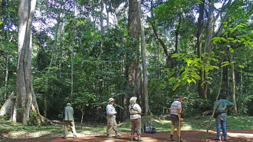 Budongo Forest: Complete Guide to photography tour for long-stay travelers