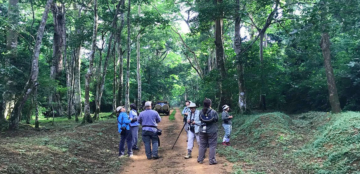 Budongo Forest Hiking: 5-Day Itinerary on a budget