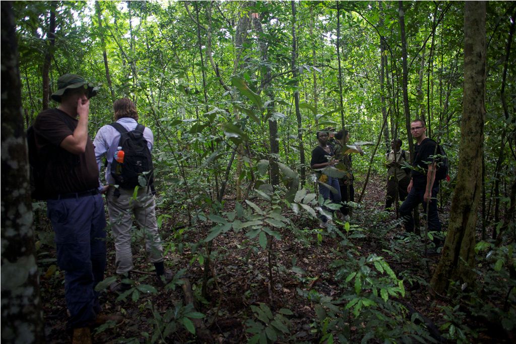 Budongo Forest Hiking: 5-Day Itinerary on a budget