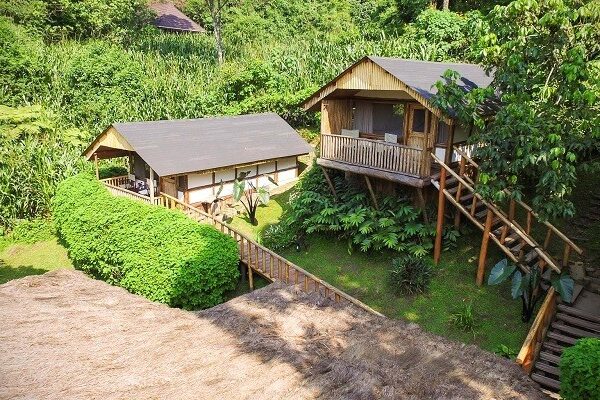 Where to Stay to Gorilla Trekking