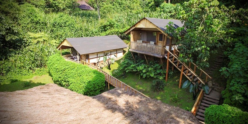 Where to Stay to Gorilla Trekking