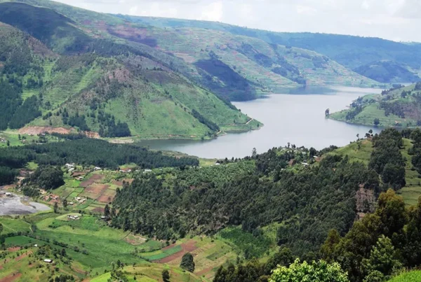 Complete Guide for culinary experiences in Kabale for foodies