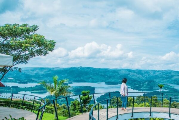 Eco-Lodge Reviews at Lake Bunyonyi: Local's Guide with kids