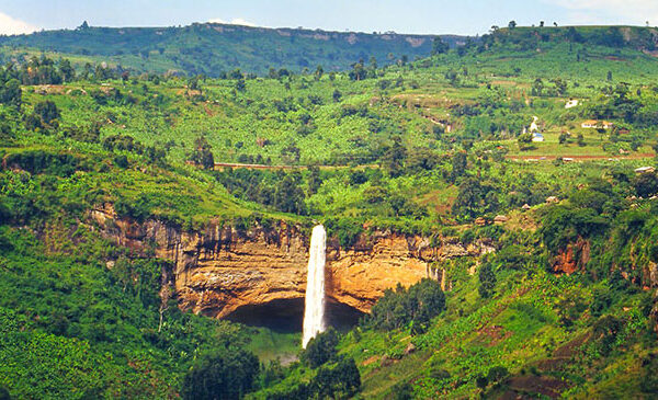 Family-Friendly Activities for game drive in Sipi Falls for birders