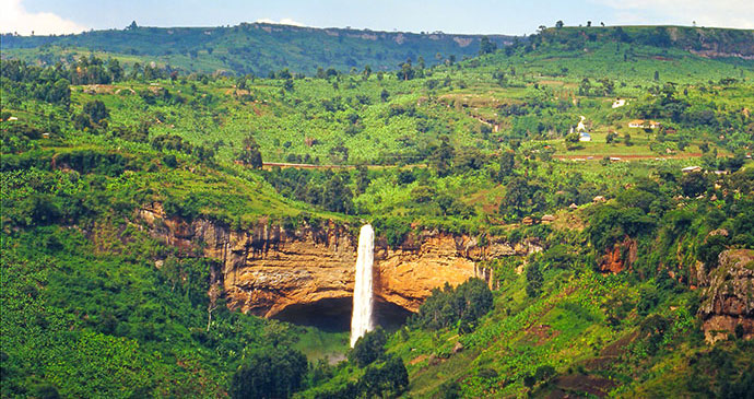 Family-Friendly Activities for game drive in Sipi Falls for birders