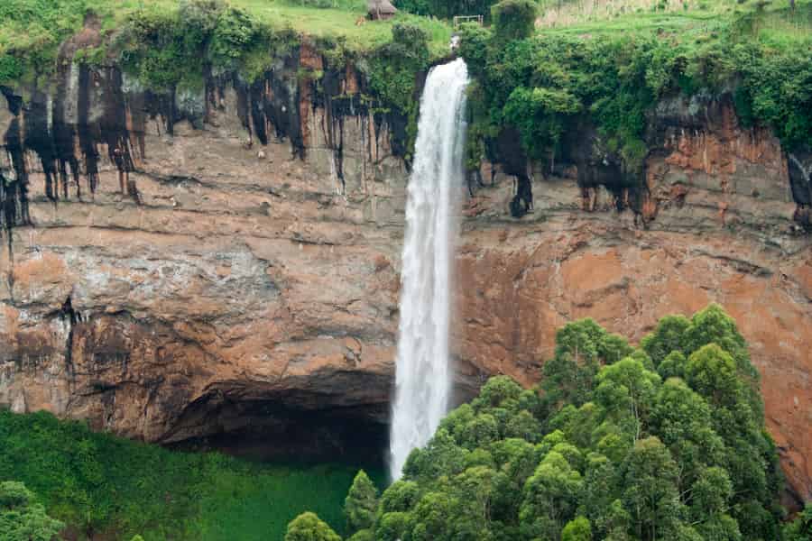 Family-Friendly Activities for game drive in Sipi Falls for birders