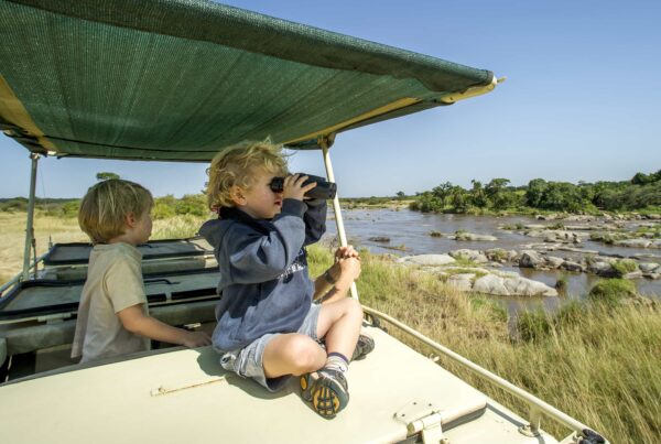 Family-Friendly Activities for game drive in Sipi Falls for birders