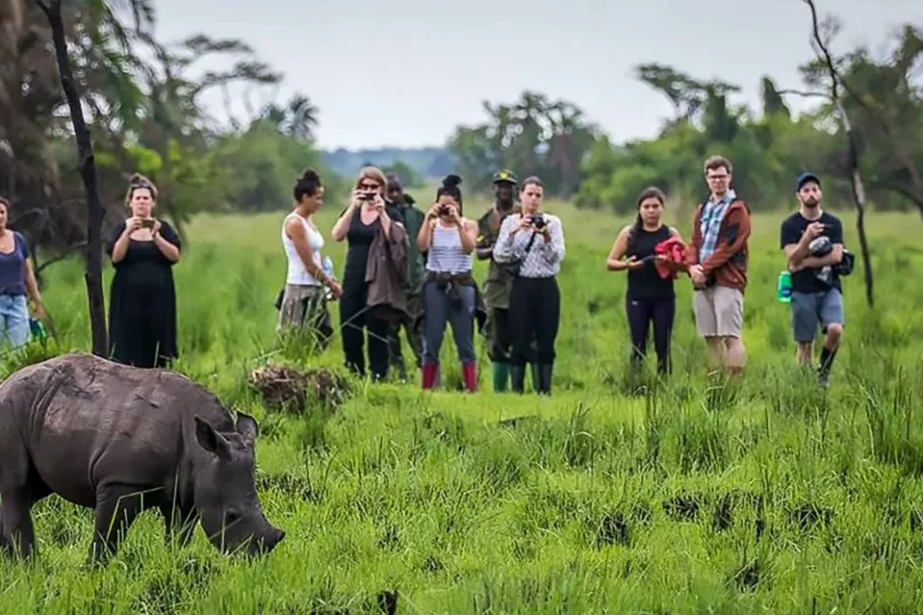 chimpanzee tracking for weekenders