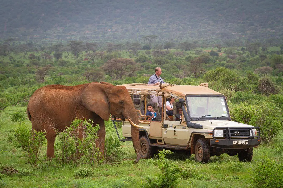 Game Drives & Big Five in Uganda