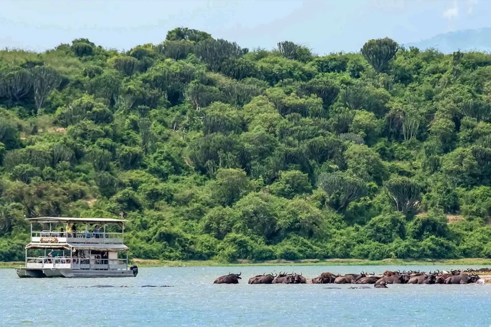 Group Tour at Kazinga Channel: Luxury Picks to add to your bucket list