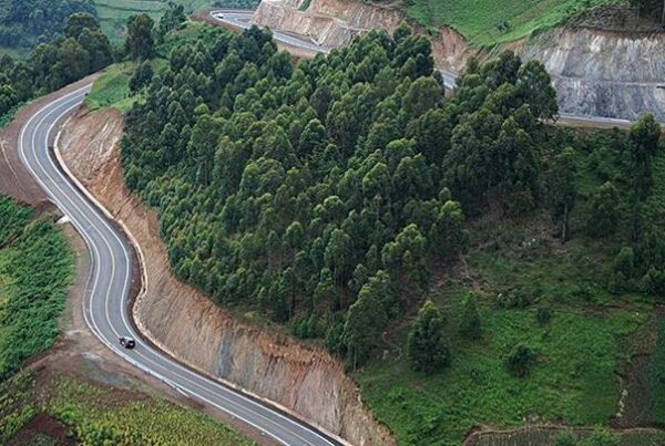 How to Travel Responsibly for hiking in Bwindi Impenetrable Forest for families
