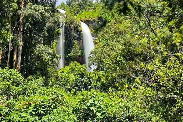 How to birding safari in Bududa — 3-Day Itinerary on a budget