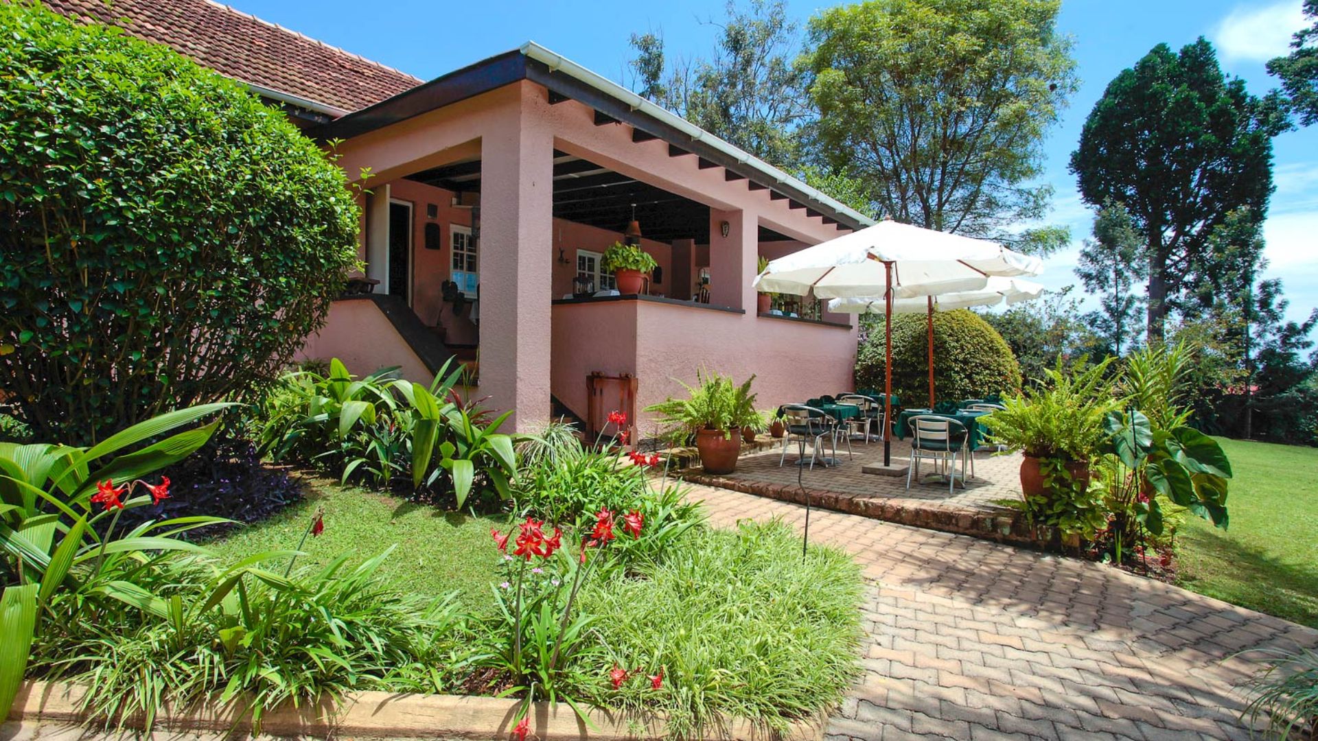 How to chimpanzee tracking in Boma Hotel Kampala — 7-Day Itinerary for avid hikers