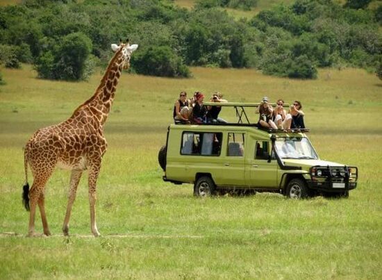 How to road trip in Queen Elizabeth National Park — Luxury Picks with limited time