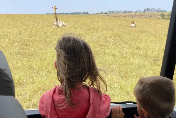 How to seasonal guide in Kidepo Valley National Park — Weekend Itinerary with kids