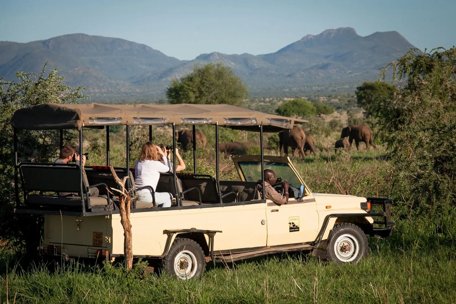 How to wildlife photography tips in Kidepo Valley National Park — Local’s Guide on a budget