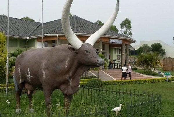 Igongo Cultural Centre