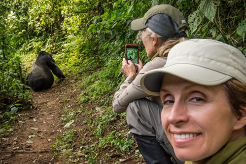 Kabaka's Palace Gorilla Trekking: 5-Day Itinerary for long-stay travelers