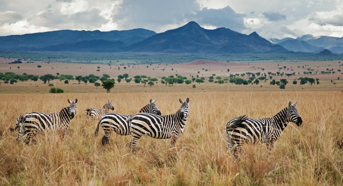 Solo Traveler Guide — Kidepo Valley National Park Festival Guide for Weekenders