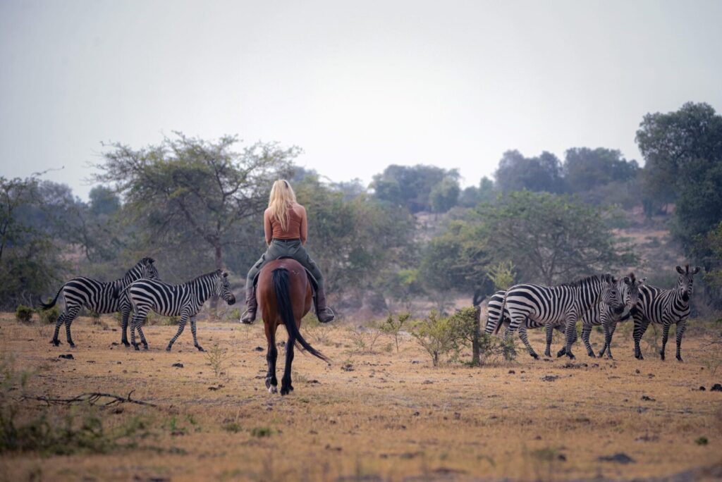 Lake Mburo National Park: Photo Essay to travel safety tips for first-time visitors
