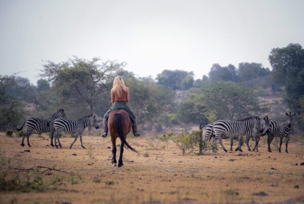 Lake Mburo National Park: Photo Essay to travel safety tips for first-time visitors
