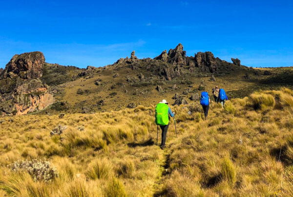 Mount Elgon Culinary Experiences: Budget-Friendly Ideas for culture lovers