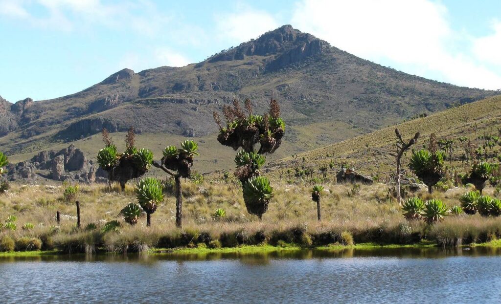 Mount Elgon Kayaking: Where to Stay for foodies