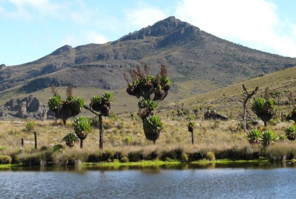 Mount Elgon Kayaking: Where to Stay for foodies