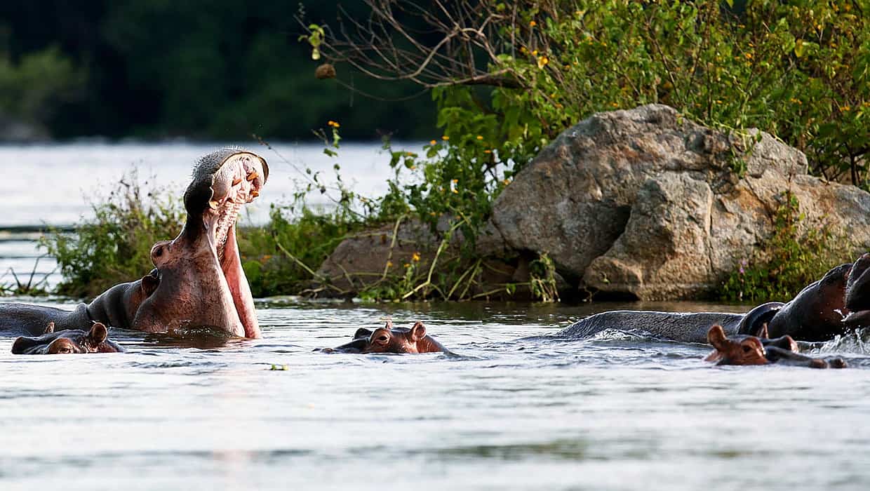Murchison Falls National Park In January