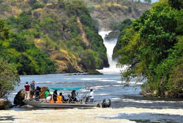 Murchison Falls National Park Luxury Escape: Family-Friendly Activities in 2026