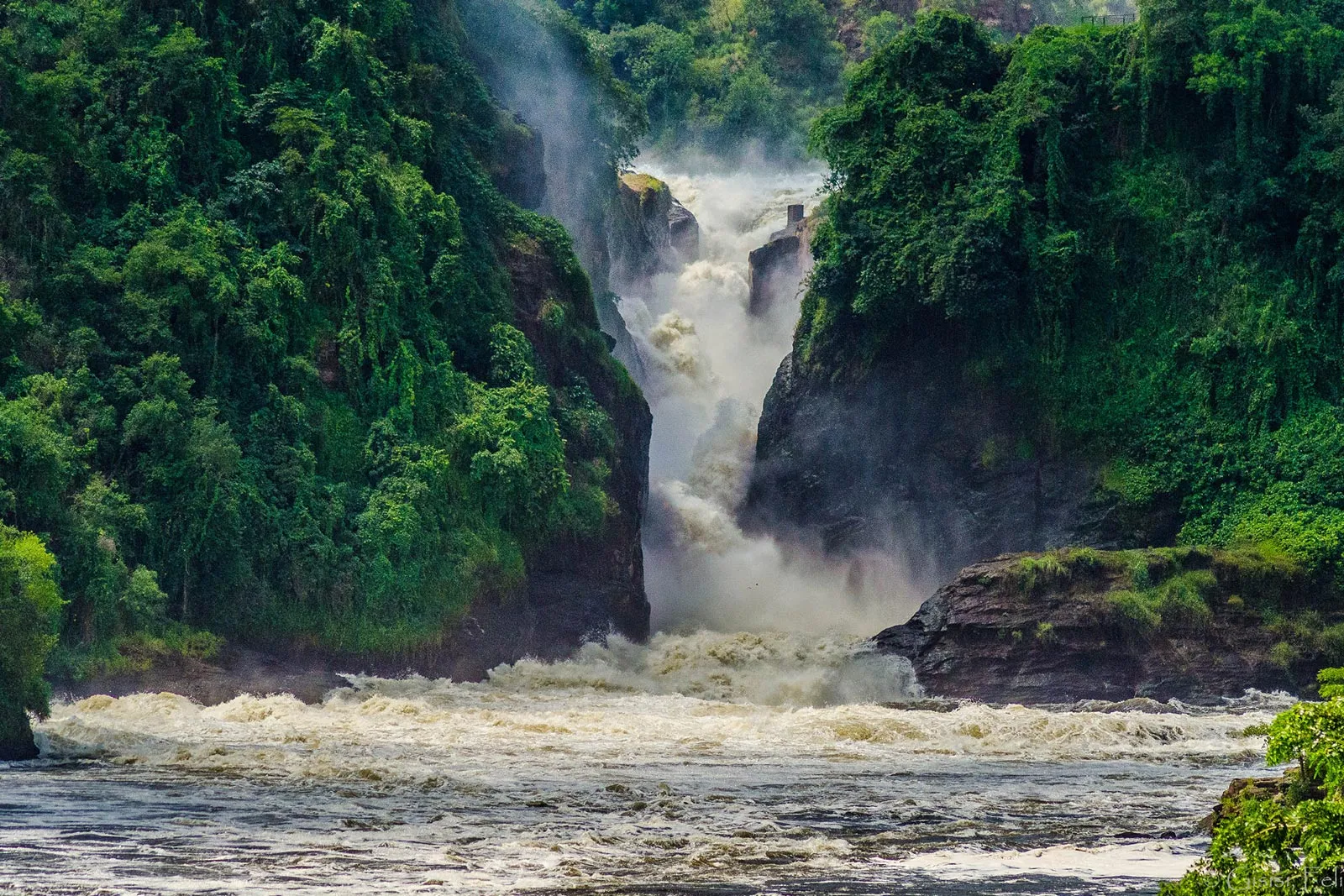 Murchison Falls National Park Luxury Escape: Family-Friendly Activities in 2025