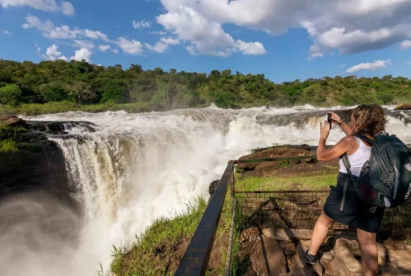 Murchison falls national park in May