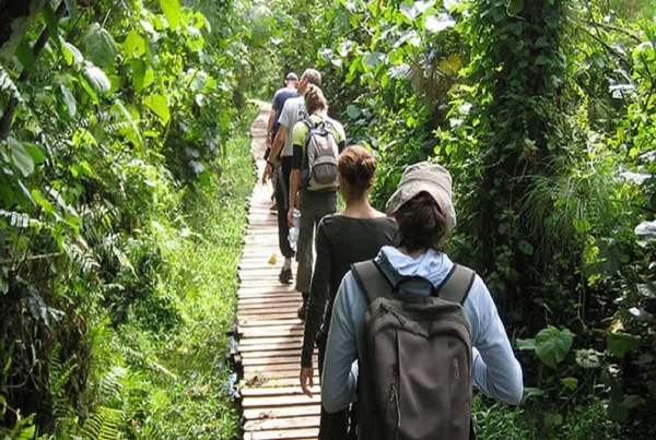 Nature Walks & Hiking in Uganda