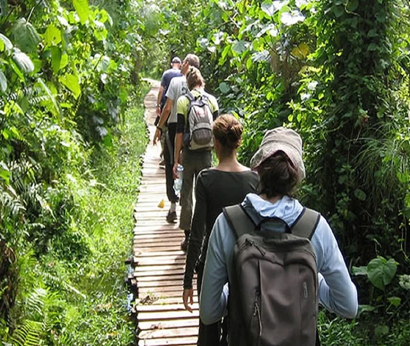 Nature Walks & Hiking in Uganda