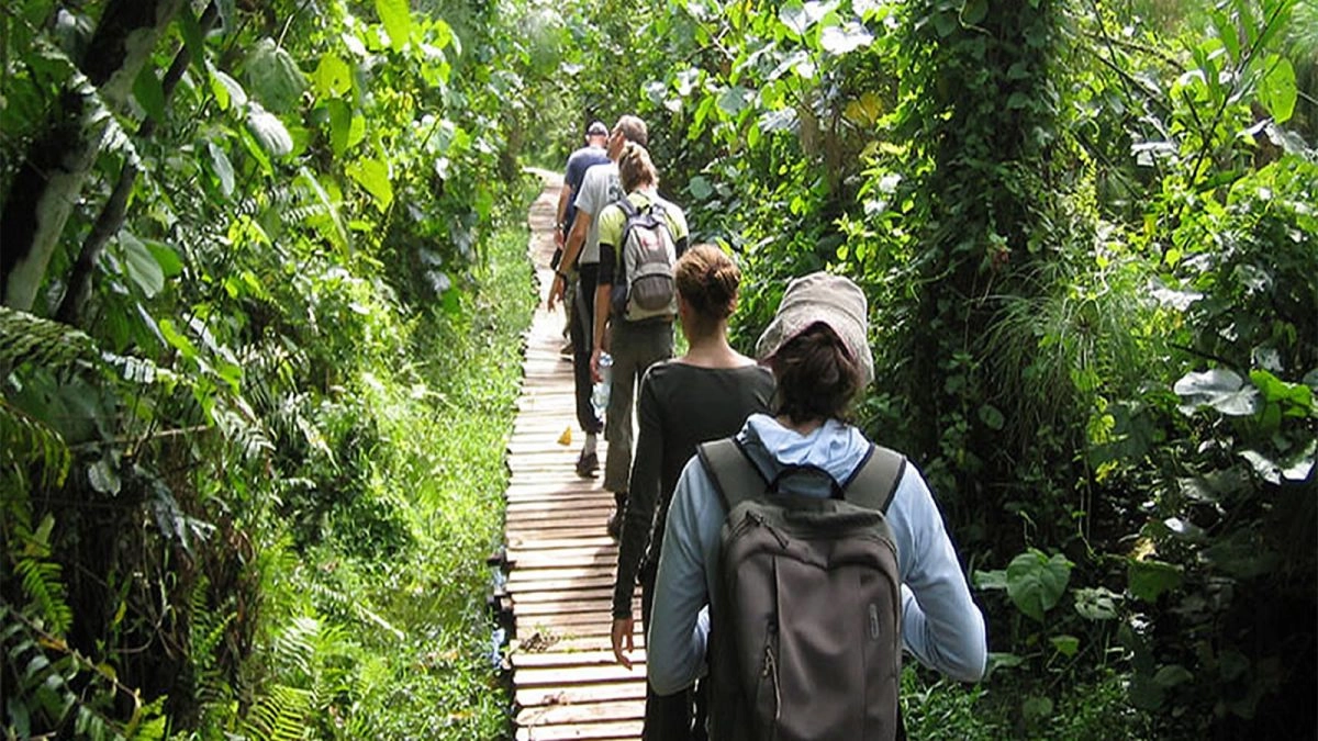 Nature Walks & Hiking in Uganda